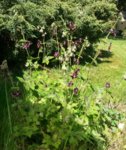 20160508_105832.jpg 20160508_105832.jpg