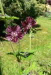 20160508_105935.jpg 20160508_105935.jpg