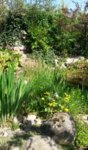 20160508_113416.jpg 20160508_113416.jpg