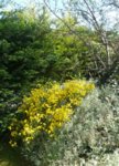 20160508_113440.jpg 20160508_113440.jpg