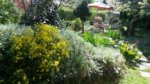 20160508_113501.jpg 20160508_113501.jpg