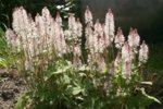 20160508_123233.jpg 20160508_123233.jpg