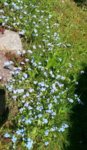 20160508_131306.jpg 20160508_131306.jpg
