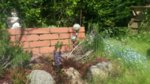 20160508_141634.jpg 20160508_141634.jpg