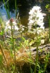 20160508_141908.jpg 20160508_141908.jpg