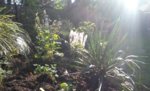 20160508_180050.jpg 20160508_180050.jpg
