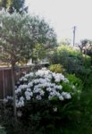 20160513_183229.jpg
