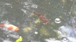 20160514_082006.jpg