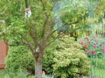DSCN3090.JPG