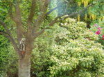 DSCN3095.JPG