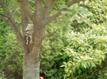 DSCN3097.JPG
