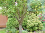 DSCN3089.JPG