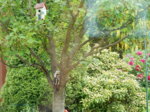 DSCN3093.JPG