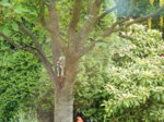 DSCN3094.JPG