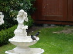 DSCN3081.JPG