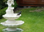 DSCN3084.JPG