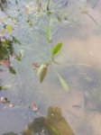 20160518_180229.jpg 20160518_180229.jpg