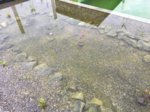 IMG_4969.JPG IMG_4969.JPG