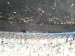 20160517_172413.jpg