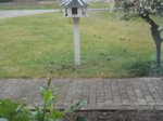 DSCN0350.JPG