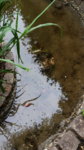 20160530_075941.jpg 20160530_075941.jpg
