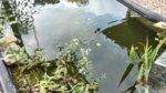 IMG_20160527_165252.jpg