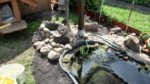 IMG_20160522_114549.jpg