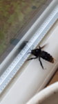 20160527_120844.jpg