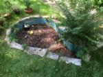 2016-06-05 14.22.22.jpg 2016-06-05 14.22.22.jpg