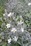 20160519_182006.jpg 20160519_182006.jpg