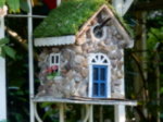 DSCN3178.JPG