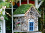 DSCN3176.JPG