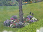 DSCN3113.JPG