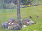 DSCN3114.JPG