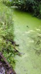 IMG-20160608-WA0021.jpg
