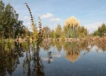 Teich Sept.Okt. 2007 020a.jpg