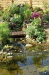 Teich 12.JPG