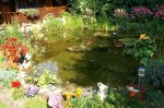 Teich_14.JPG