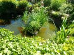 20160610_153654.jpg