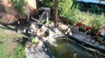 IMG_20160608_185119.jpg