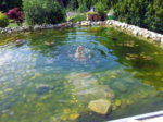20150607_135908.jpg