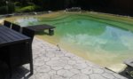 20160610_121908.jpg