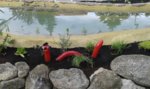 20160604_192319.jpg