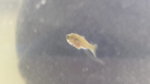 20160614_091100.jpg