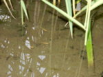 DSCN3314.JPG