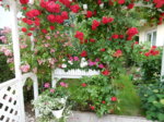 DSCN3285.JPG
