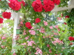 DSCN3289.JPG