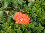 DSCN3293.JPG