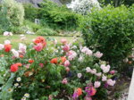 DSCN3296.JPG