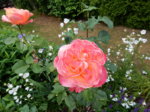 DSCN3303.JPG